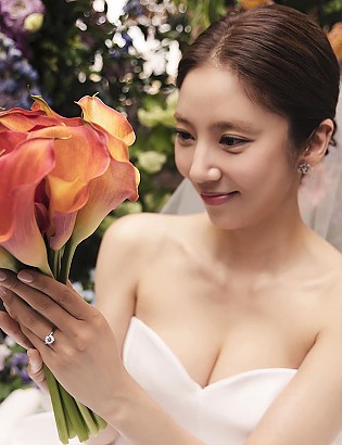 손담비